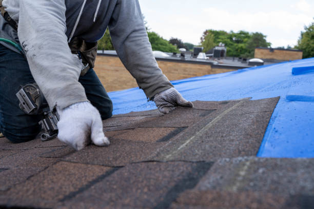 Best Roof Maintenance and Cleaning  in Puyallup, WA